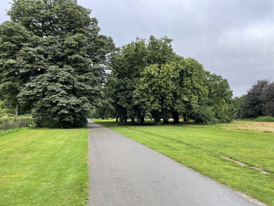 A tree-lined path in a London park