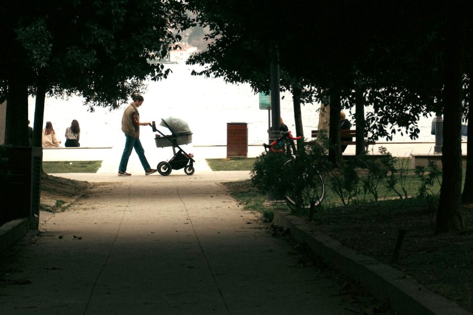 A person pushing a pram along a path in a waterside park
