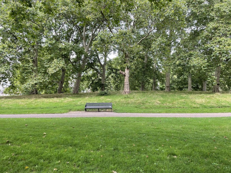 An empty bench among trees in London's Green Park