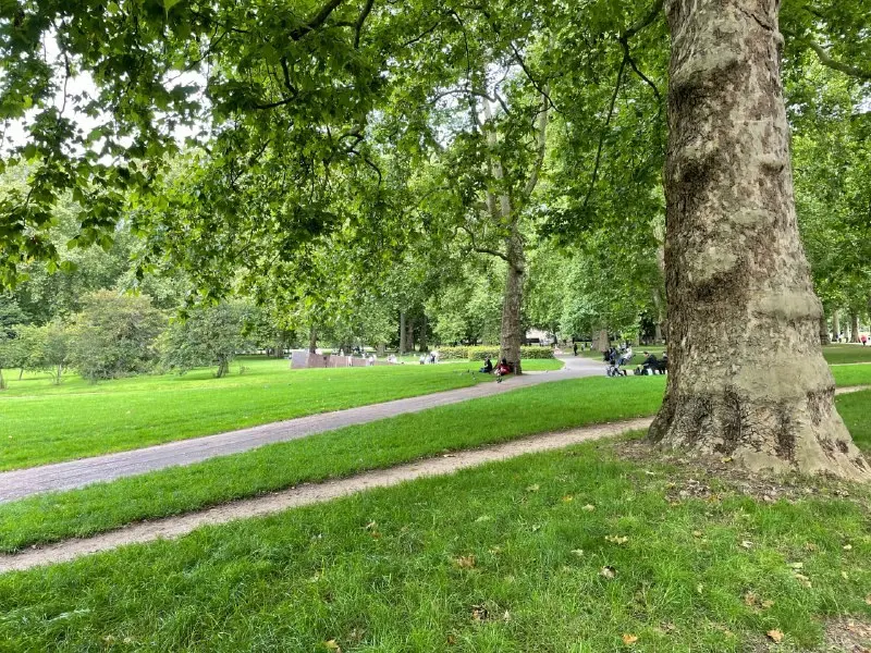 A tree-lined lane between buildings in the City of London