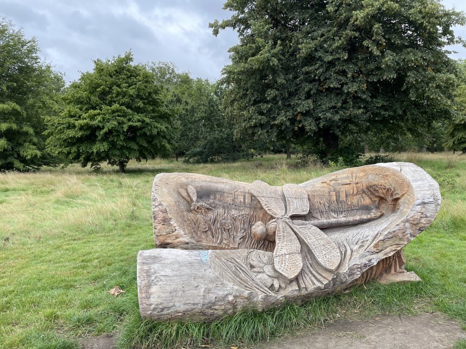 A wooden bench carved with insects among trees near Hyde Park