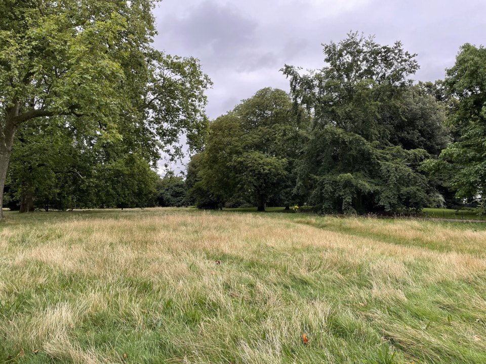 A path in Kensington Gardens park