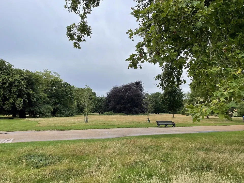 An empty bench beside a path in Kensington Gardens, with sun-bleached grass and old trees