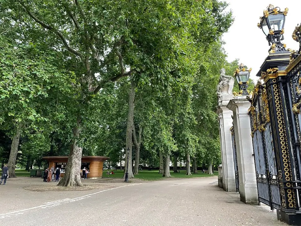 Gates of a London park, trees along the avenue