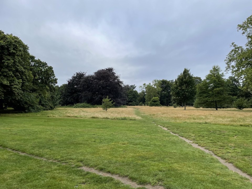 A green lawn in a London park with a path and trees