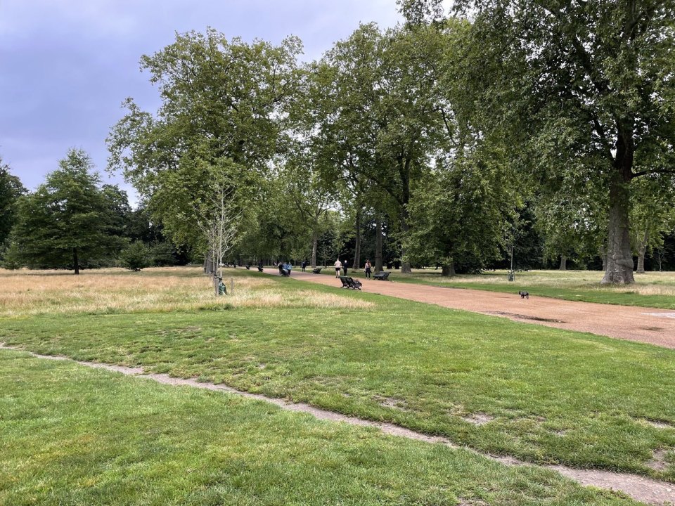 A path across a lawn in a London park, people walking in the distance on an overcast summer day