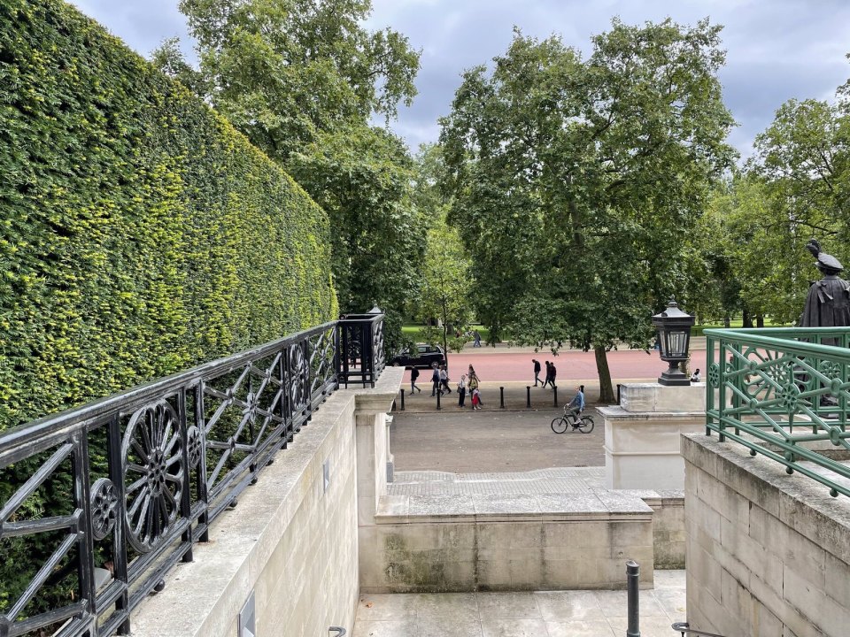 A tall clipped hedge running along a path in London