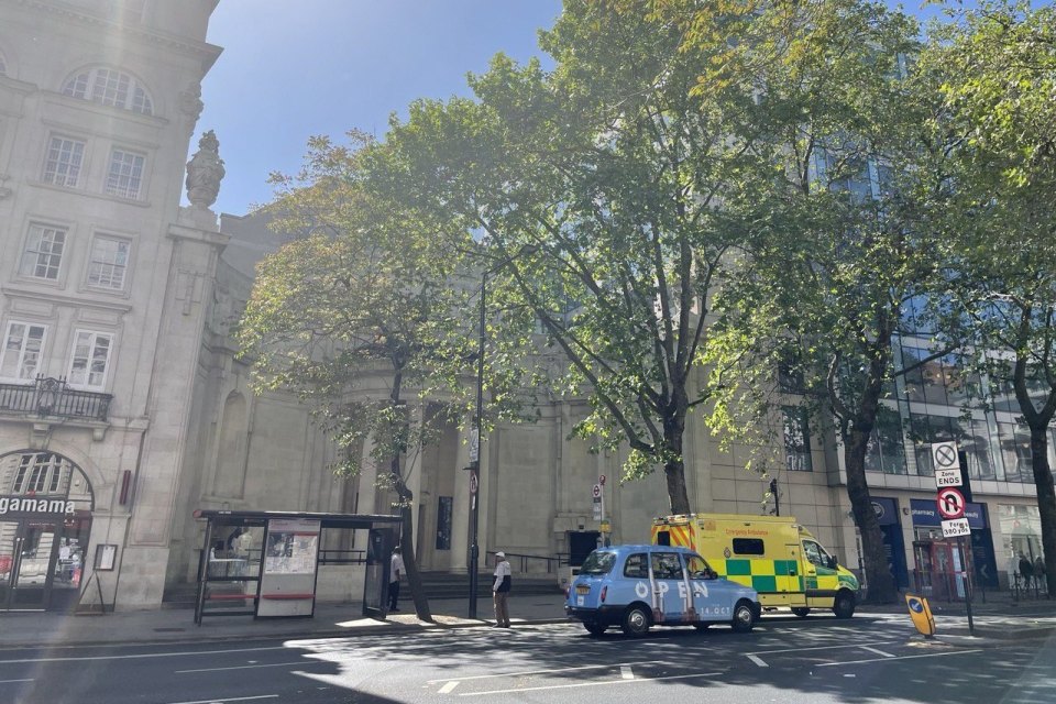 Машина скорой помощи London Ambulance Service на улице в центре Лондона