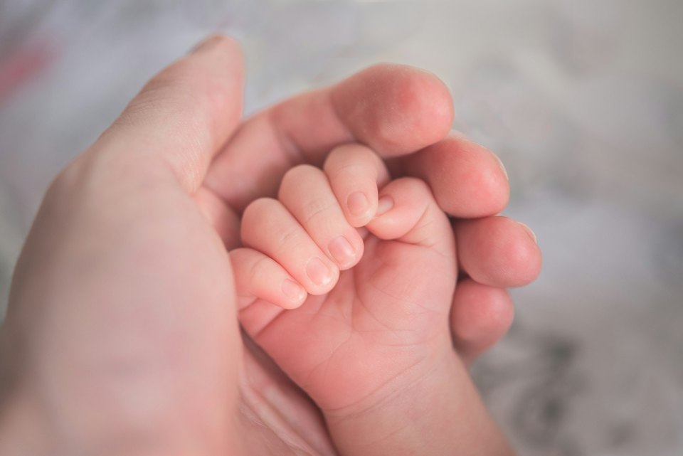 An adult hand holding a baby's hand