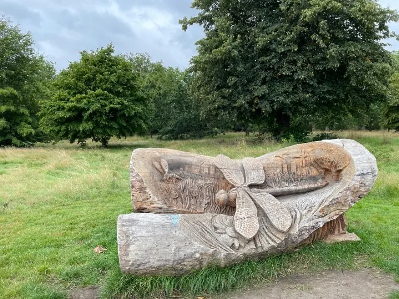 A bench carved from a whole tree trunk in a park meadow