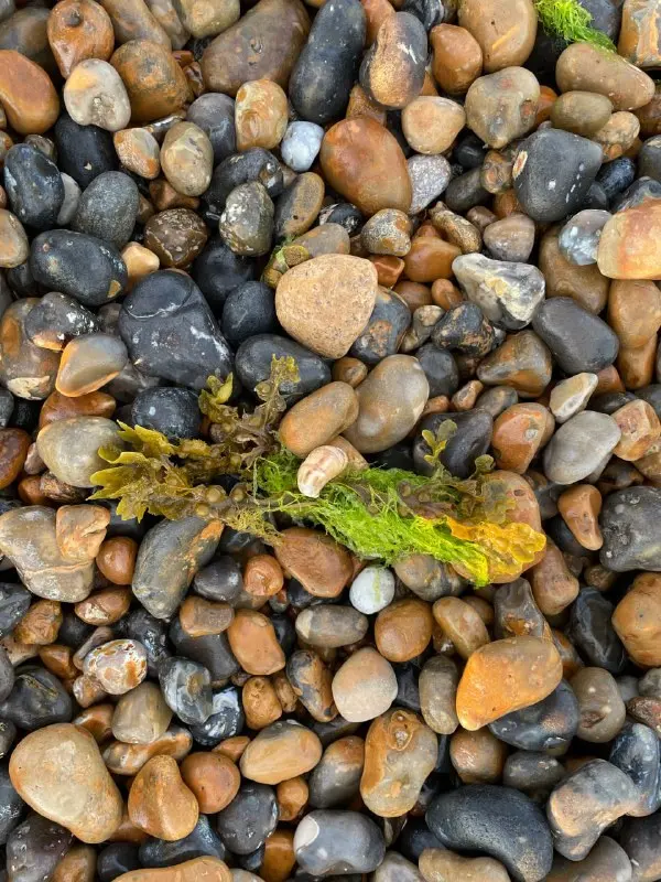 Close-up of dry pebbles and small stones with a single blade of grass