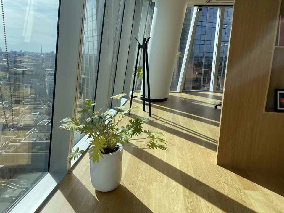 A bright office with a plant by the window