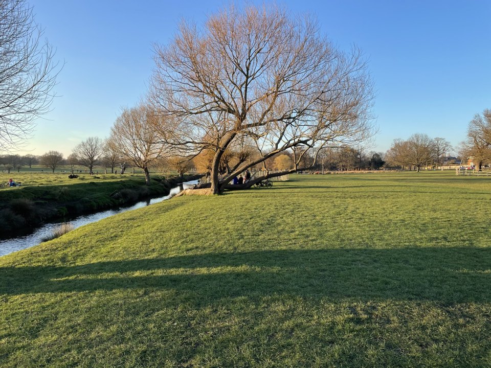 A park with a river and trees under open sky