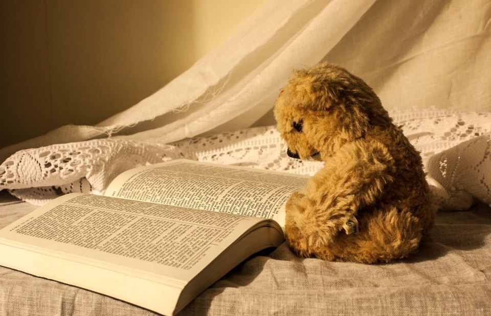 Плюшевый медвежонок на раскрытой книге