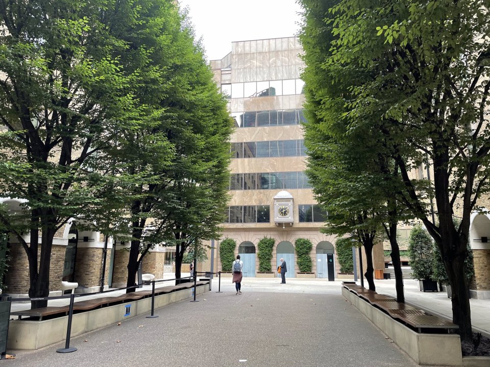 Tree-lined avenue leading to an institutional building in London
