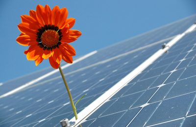 Британский солнечный завод продает электроэнергию
