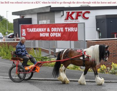 Ian Bell was refused service at a KFC when he tried to go through the drive-through with his horse and cart.