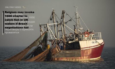 Бельгия может применить хартию 1666 для ловли рыбы в водах Великобритании, если переговоры о Брексите провалятся