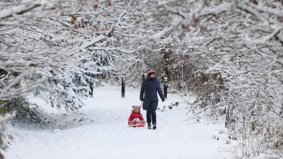 A woman pictured pulling a child on a sledge through a snow-covered wood at Larbert, near Falkirk in Scotland