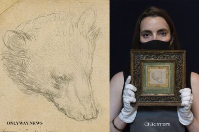 Christie’s продал рисунок медведя Леонардо да Винчи за £8,8 млн