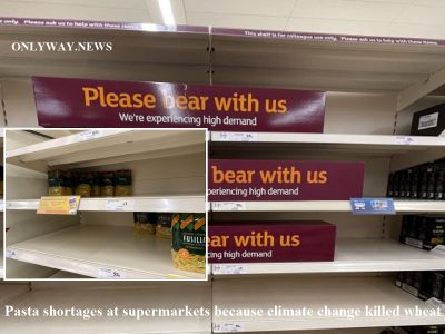 Нехватка макаронных изделия в супермаркетах Великобритании из-за изменения климата убило пшеницу