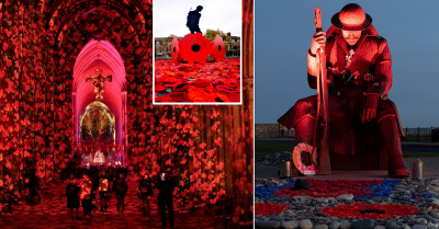 Маки покрывают Британию в день памяти погибших в первой мировой войне