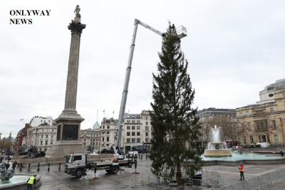 Главная рождественская елка прибыла в Лондон из Норвегии