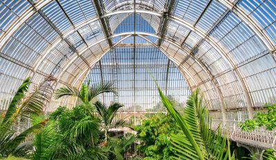 Kew Gardens можно будет посещать за фунт