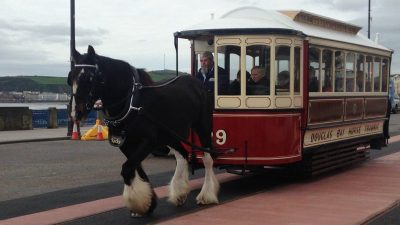 Конные трамваи острова Мэн вернутся на набережную Дугласа