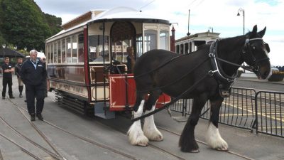 На острове Мэн Конные трамваи Дугласа снова будут работать к концу месяца