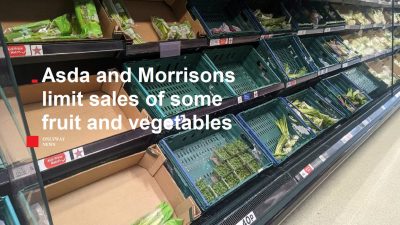 В Великобритании супермаркеты сталкиваются с нехваткой свежих продуктов..