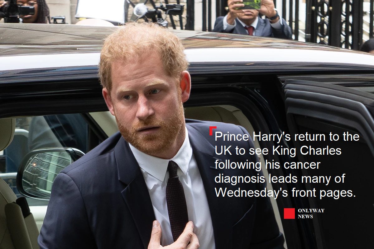 Чтобы встретиться с королем Чарльзом III, своим отцом, сын Гарри прилетел в Лондон.