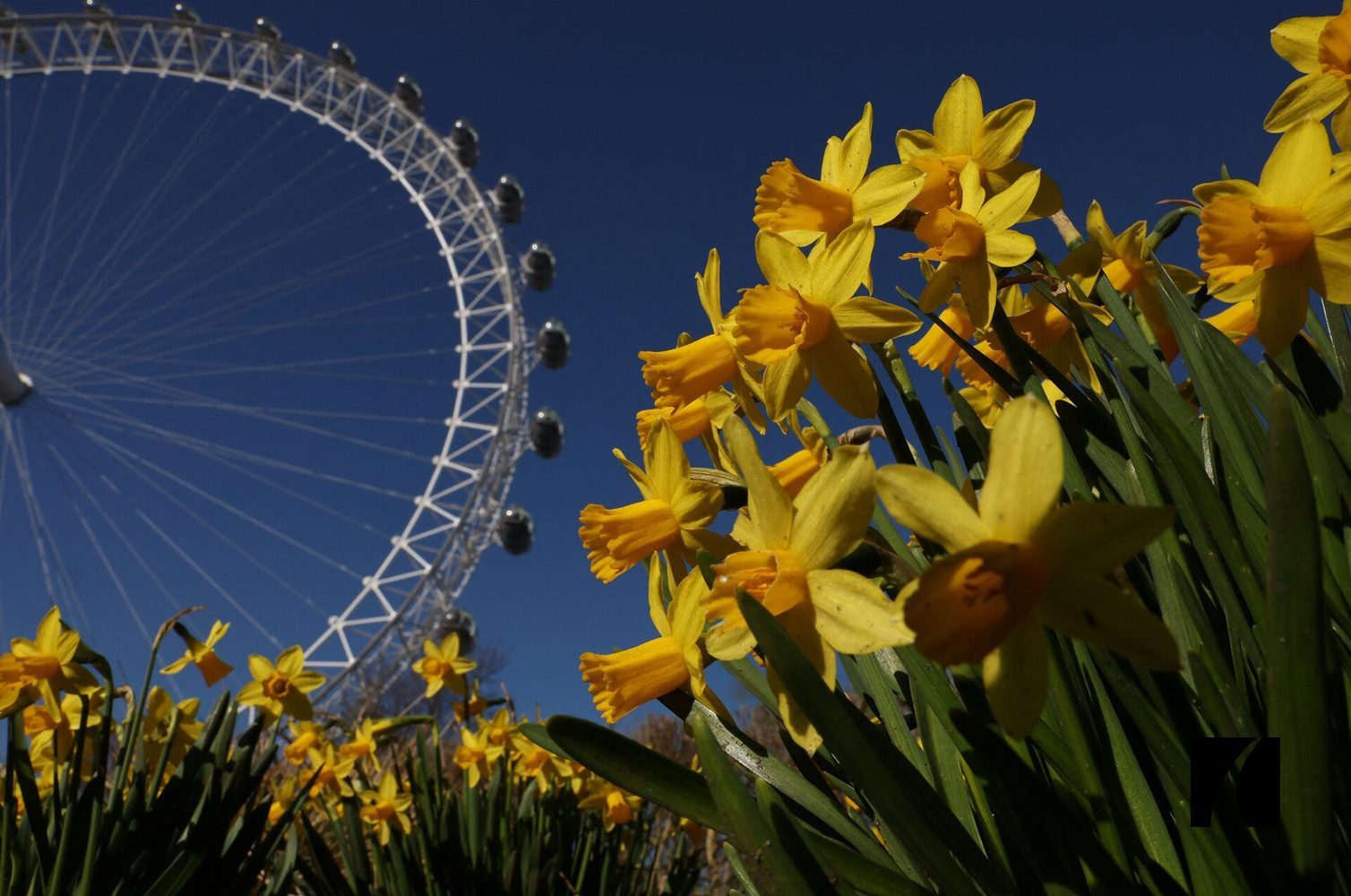 Колесу обозрения London Eye 25 лет.